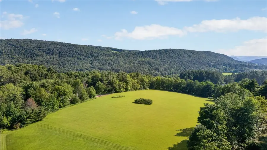 L1 Grange Hall Road, Franklin, NY 13820 - #3