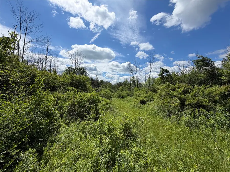 0 Stockton Road, Stockton, NY 14784 - #3
