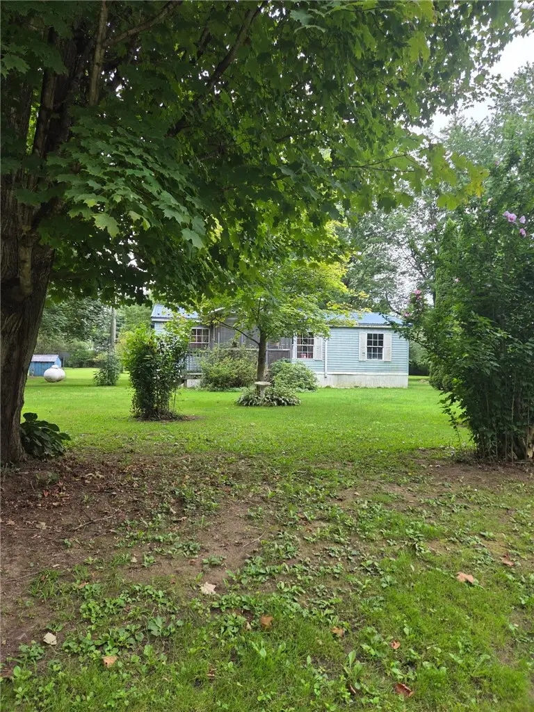 14056 Carncross Road, Savannah, NY 13146 - #2