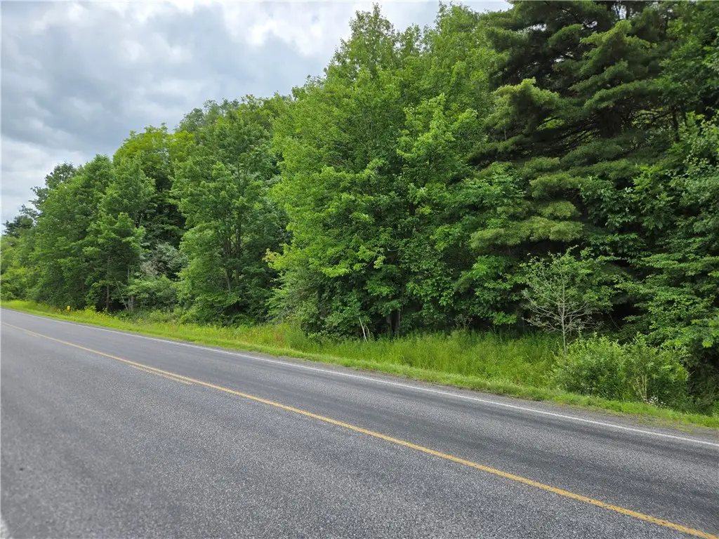 0 County Highway 10, Meredith, NY 13757 - #1