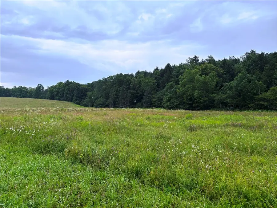 Lot #44 State Highway 23, Harpersfield, NY 13786 - #2