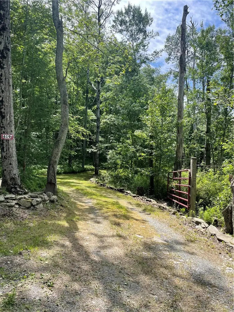 619 Town Line Road, German, NY 13801 - #3