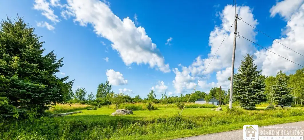 Straight Road, Fredonia, NY 14063 - #1