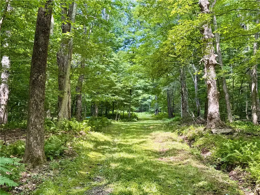 253 Davis Hollow Road, Andes, NY 13731 - #2
