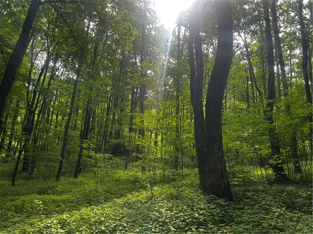 Ivan Mereness Road, Decatur, NY 12197 - #1