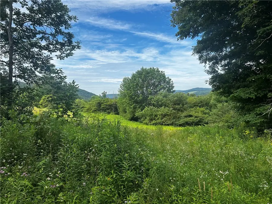 Ivan Mereness Road, Decatur, NY 12197 - #2