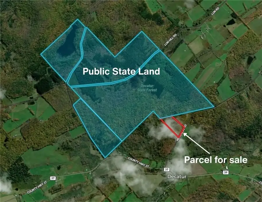 Ivan Mereness Road, Decatur, NY 12197 - #3