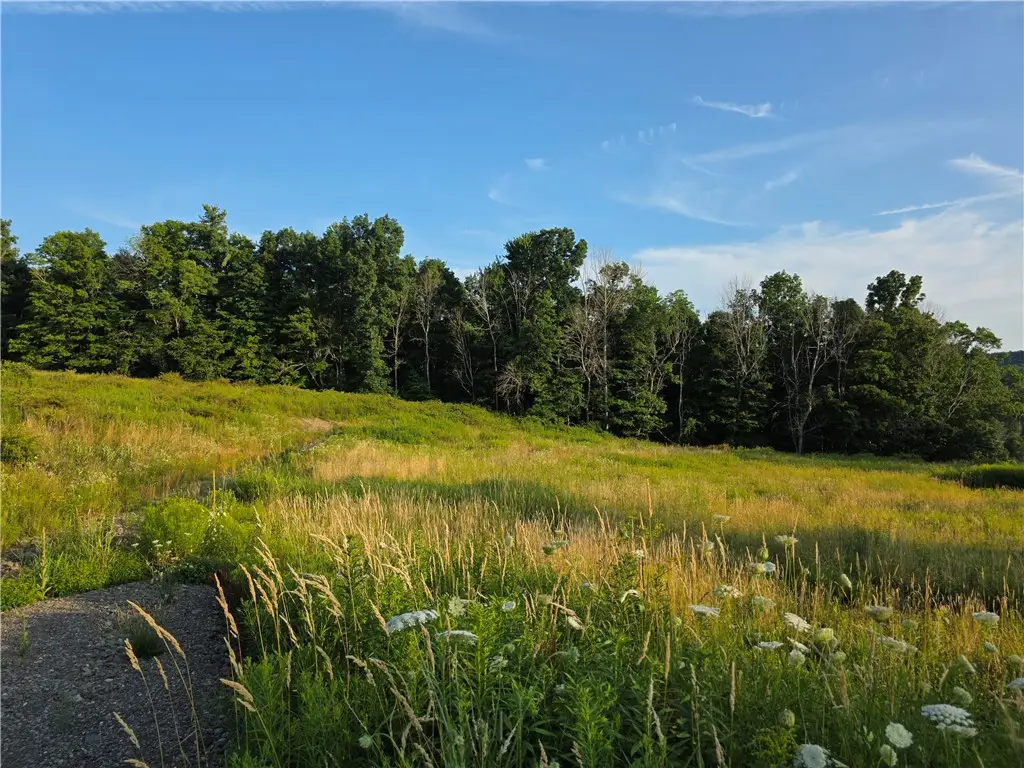 652 Ideuma Road, Unadilla, NY 13849 - #1