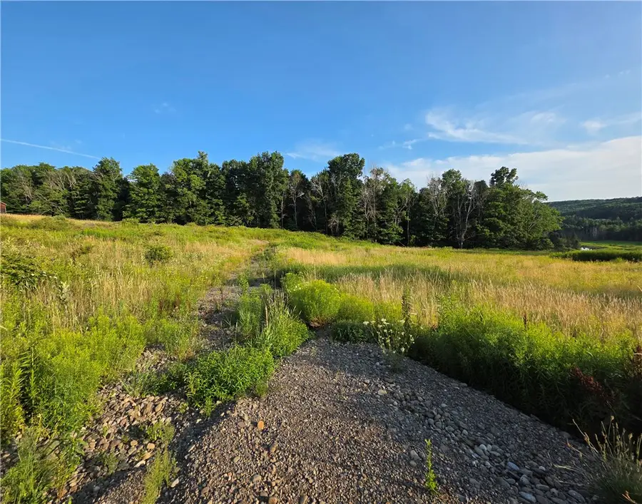652 Ideuma Road, Unadilla, NY 13849 - #3