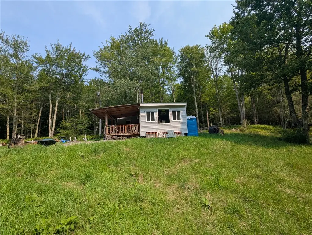 349 Bed Holw Road, Denver, NY 12474 - #1