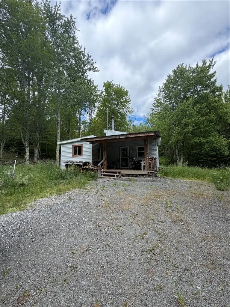 349 Bed Holw Road, Denver, NY 12474 - #3