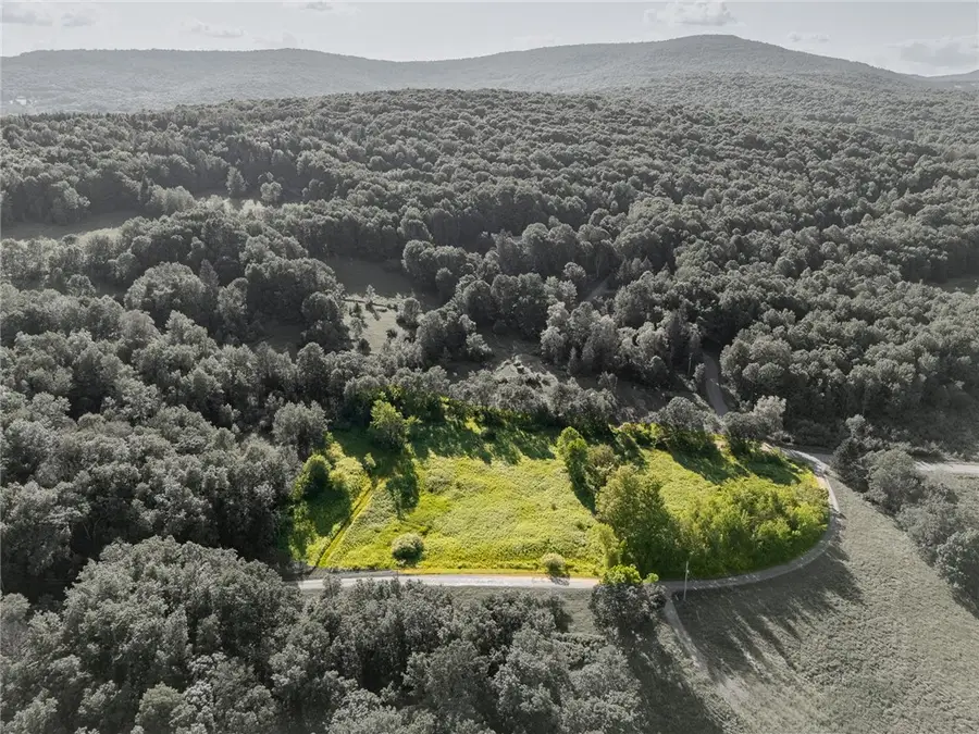 Lot 11 Meadow Brook Drive, Margaretville, NY 12455 - #2