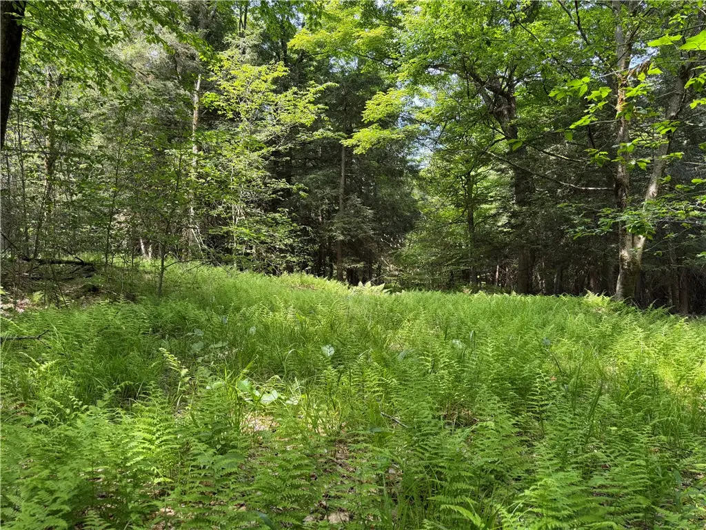 VL 106 Road, Alma, NY 14708 - #1