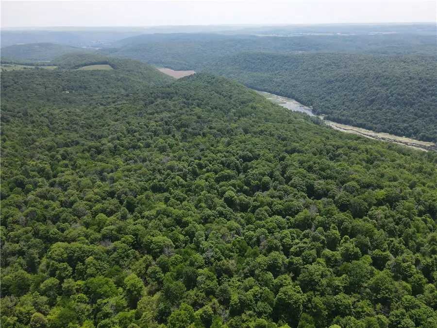 VL 106 Road, Alma, NY 14708 - #2