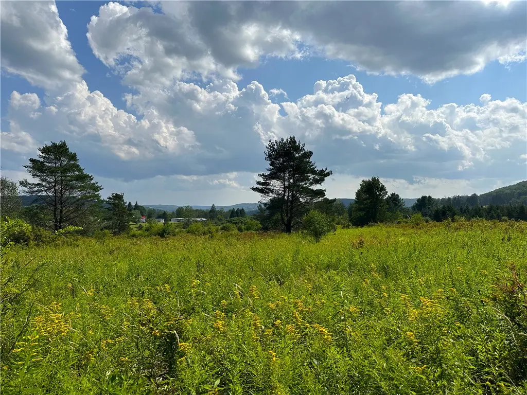 0 Cr-17, Friendship, NY 14739 - #1