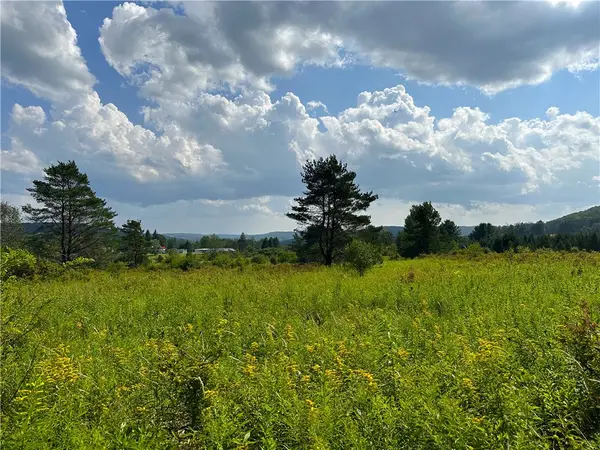 0 Cr-17, Friendship, NY 14739