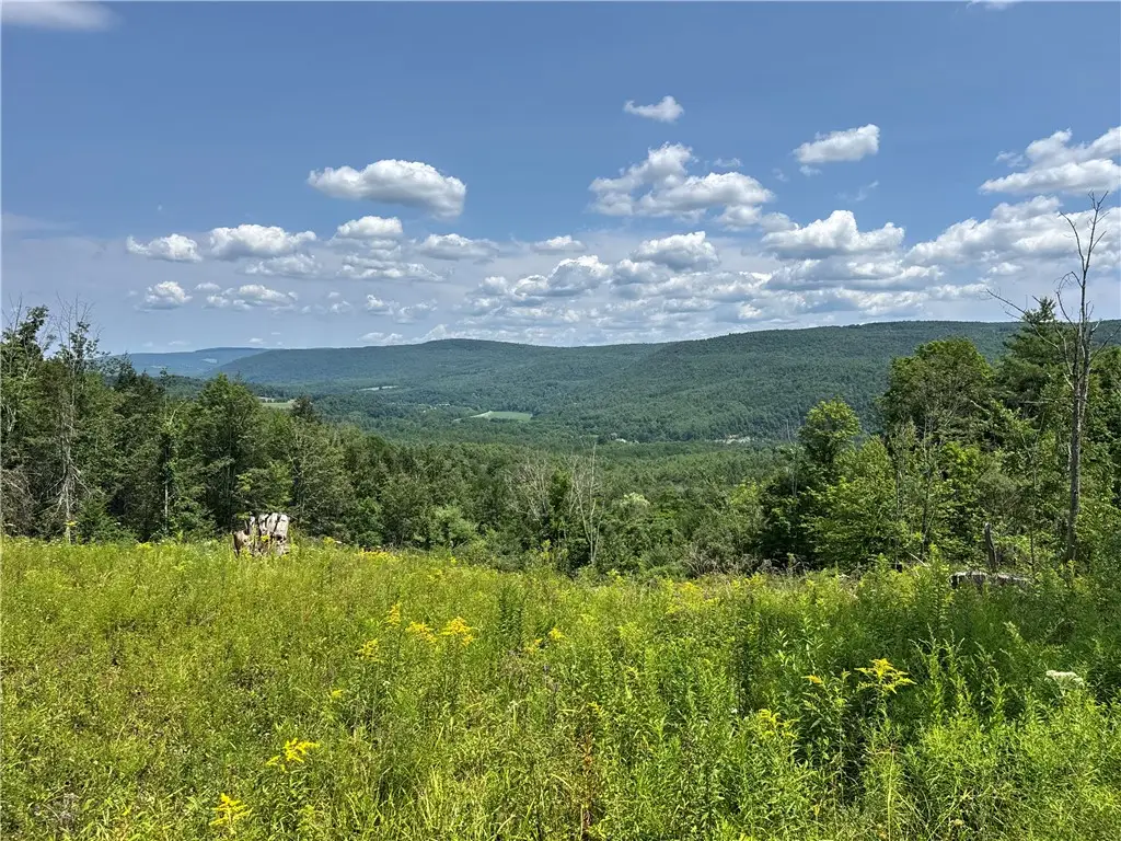 Jang Soo Way, North Blenheim, NY 12131 - #1