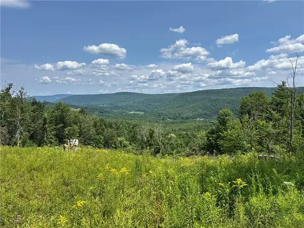 Jang Soo Way, North Blenheim, NY 12131