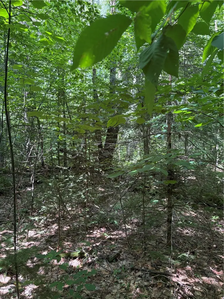 Lot 25 Ericson Lane, Jefferson, NY 12093 - #2