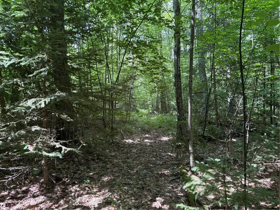 Lot 25 Ericson Lane, Jefferson, NY 12093 - #3