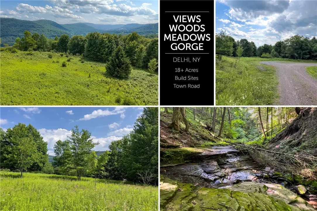 Lot 23 Lynch Road, Delhi, NY 13753 - #1