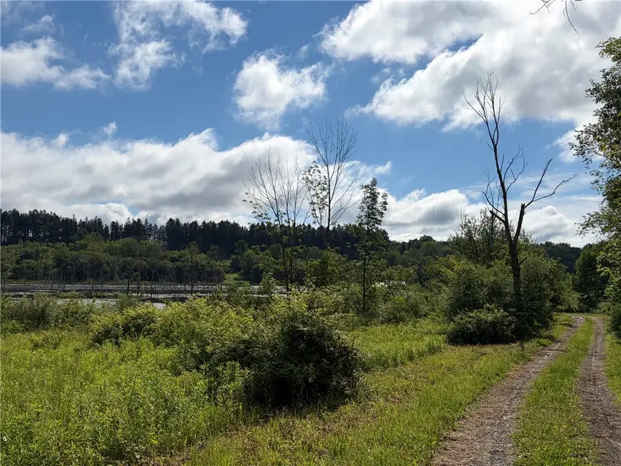 0 Banks Road, Gainesville, NY 14066 - #3