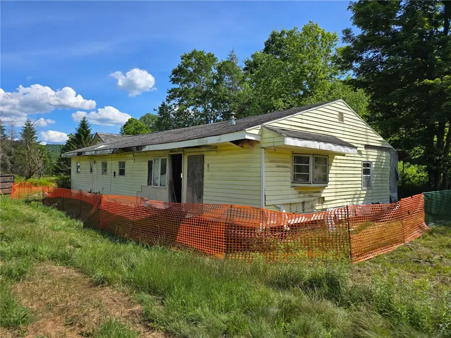 2391 Pines Brook Road, Walton, NY 13856 - #3