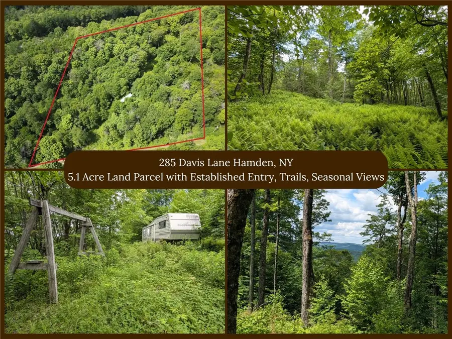 285 Davis Lane, Hamden, NY 13782 - #2