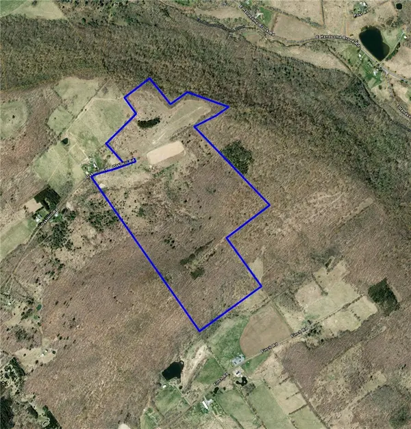 1371 Oak Hill Road, Franklin, NY 13775