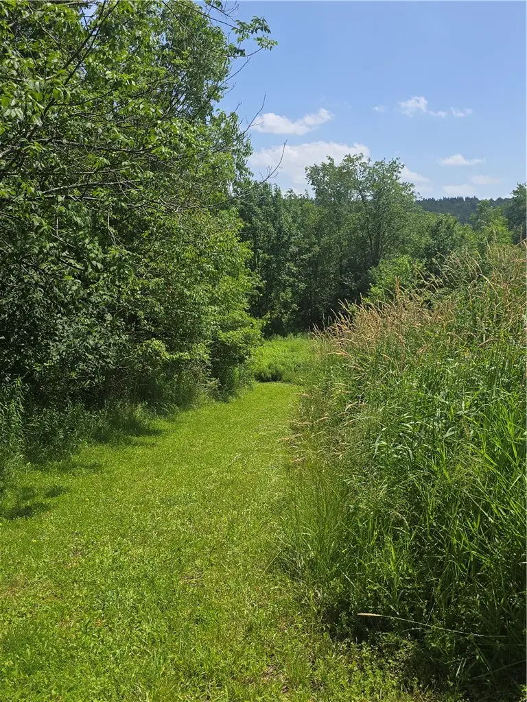 972 State Highway 23, Pitcher, NY 13801 - #3