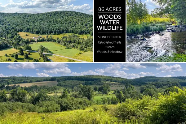 Lot #11 Franklin Depot Road, Sidney, NY 13838