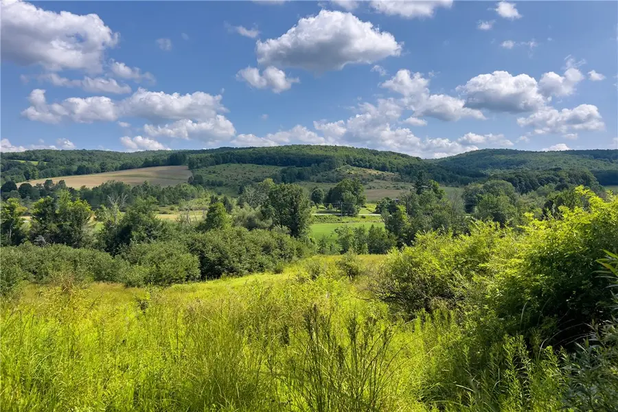 Lot #11 Franklin Depot Road, Sidney, NY 13838 - #2