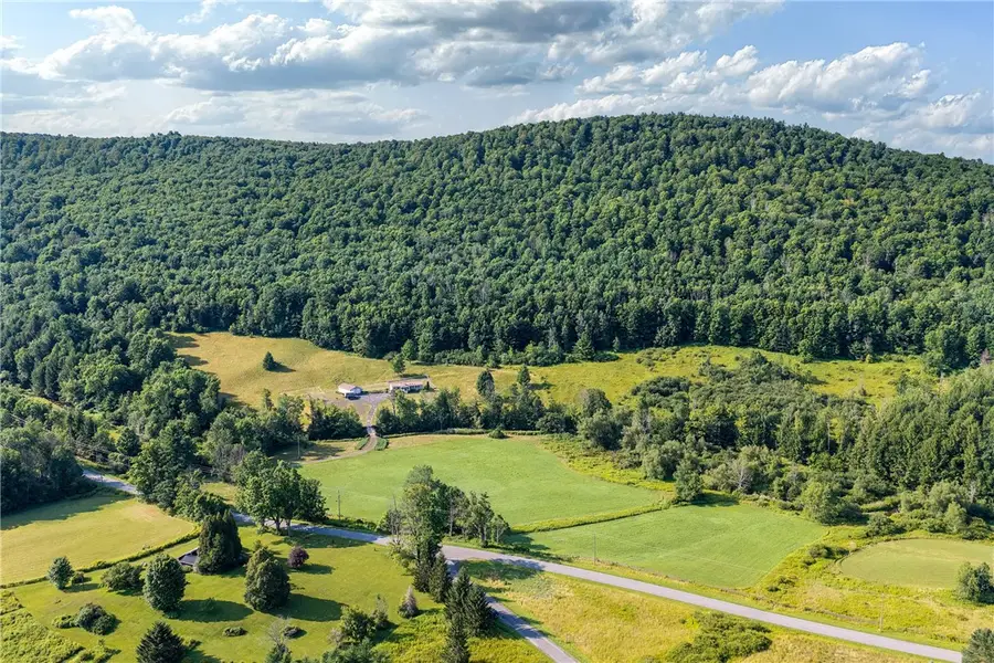 Lot #11 Franklin Depot Road, Sidney, NY 13838 - #3