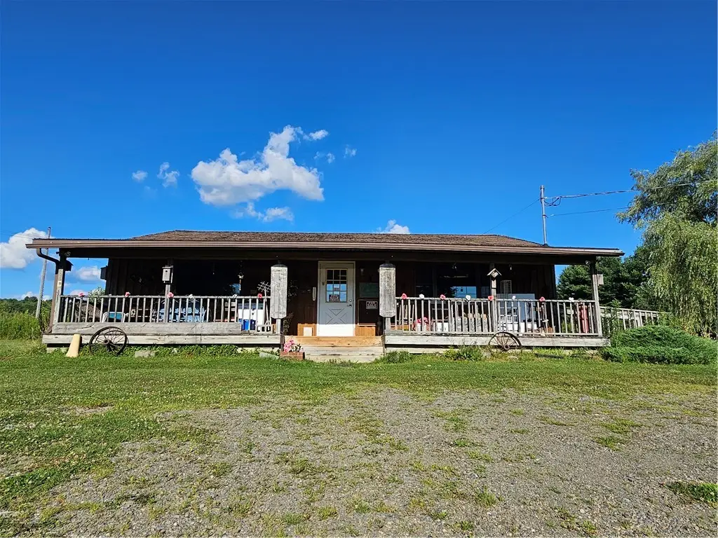866 State Route 41, Willet, NY 13863 - #1