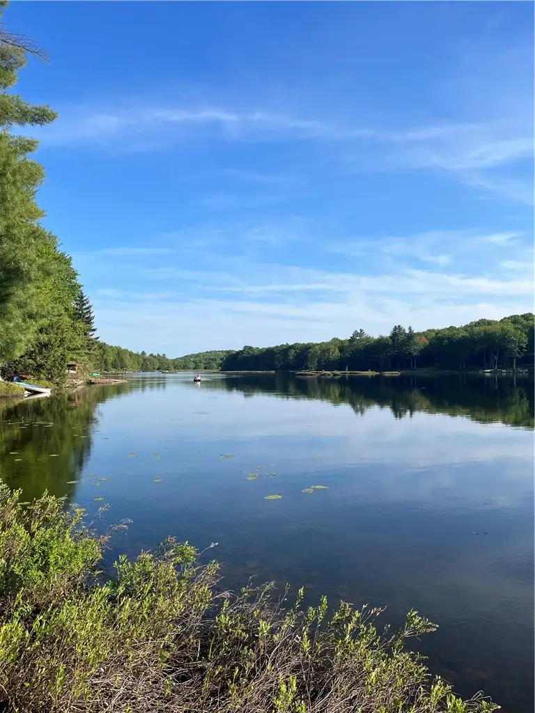 103 Blueberry Drive, Deposit, NY 13754 - #2