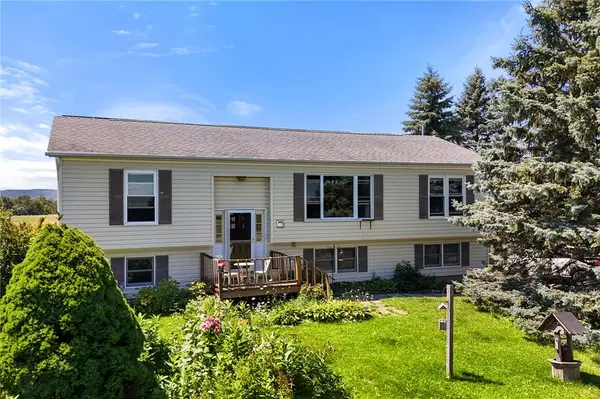 391 Gunderman Road, Spencer, NY 14883