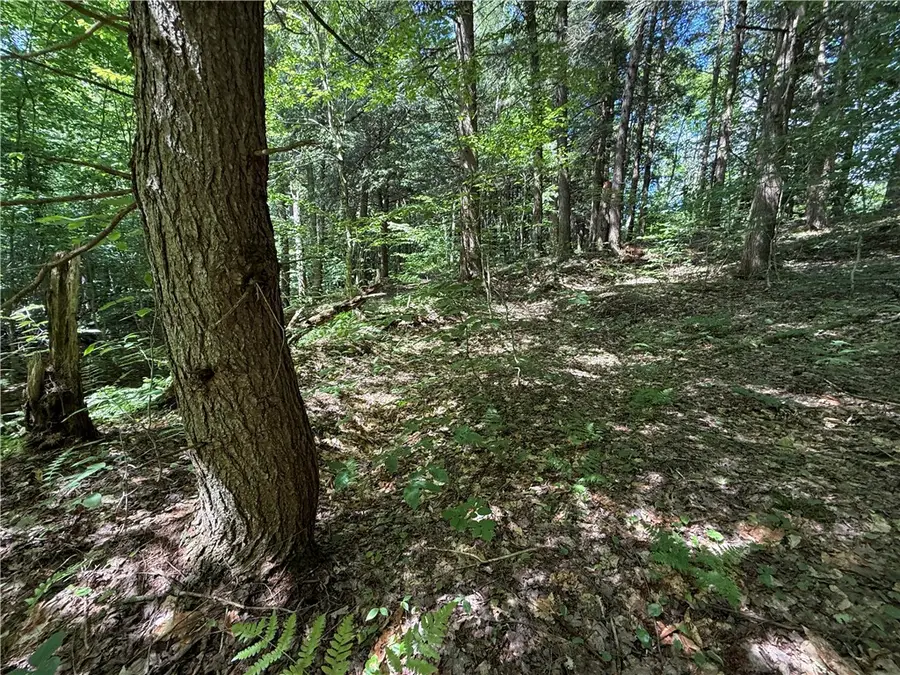 V/L Beaver Creek Road, Redfield, NY 13437 - #3