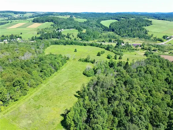 Lot 20.111 Billings Hill Road, Lebanon, NY 13334