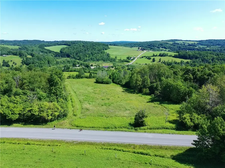 Lot 20.111 Billings Hill Road, Lebanon, NY 13334 - #2