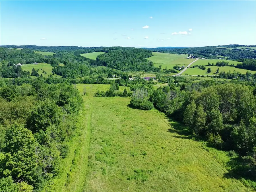 Lot 20.111 Billings Hill Road, Lebanon, NY 13334 - #3