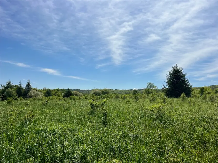 0 Fair View Road, Farmersville Station, NY 14060 - #2