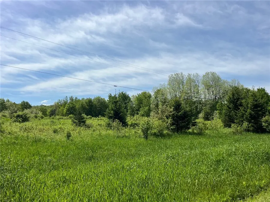 0 Fair View Road, Farmersville Station, NY 14060 - #3