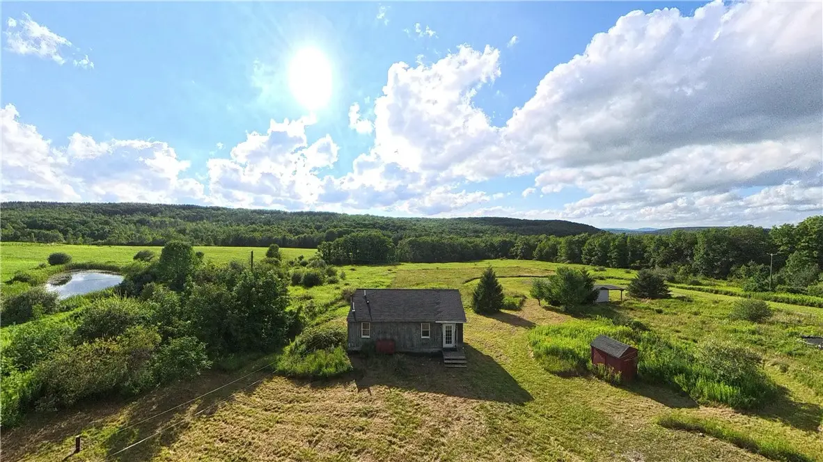 11737 Davis Road, Prattsburgh, NY 14873 - #1