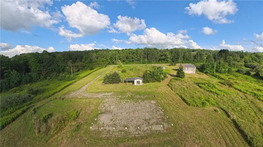 11737 Davis Road, Prattsburgh, NY 14873 - #3