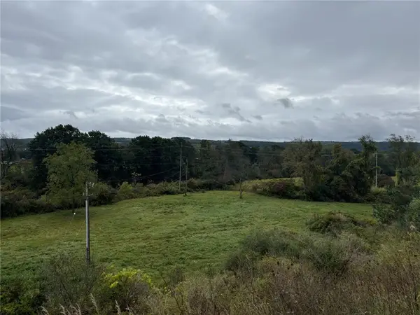 0 State Route 70, Arkport, NY 14807