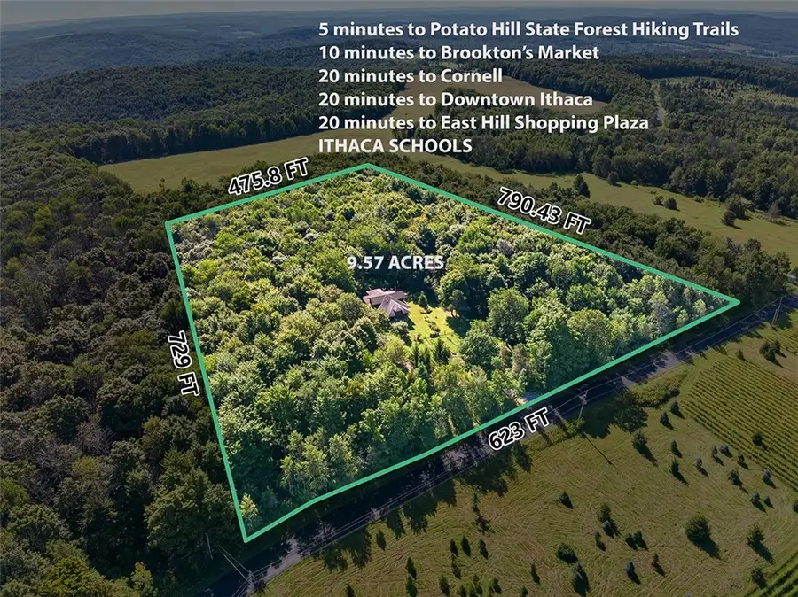 151 Fire Tower Road, Berkshire, NY 13736 - #3