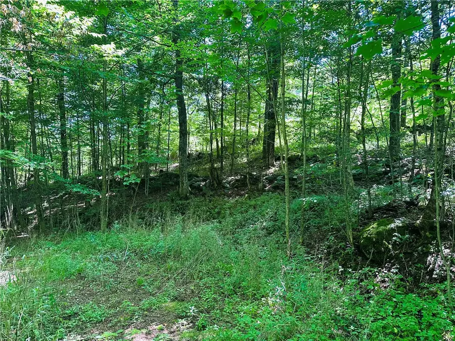 287 Dirt Road, Delancey, NY 13752 - #2