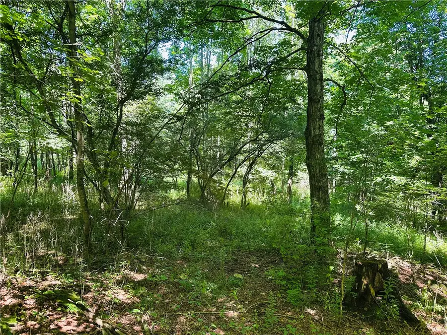 287 Dirt Road, Delancey, NY 13752 - #3