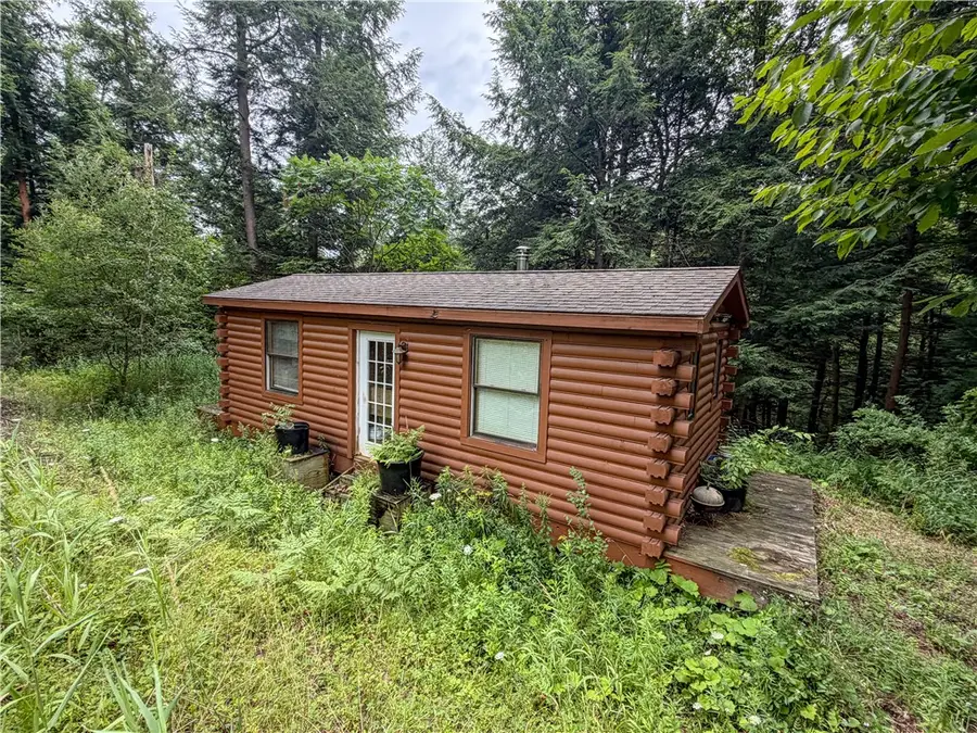 WP1 Tucker Hill Road, Houghton, NY 14744 - #3