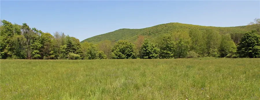 John Shultis Road, Roxbury, NY 12474 - #2